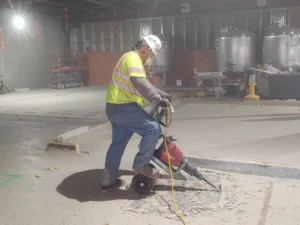 concrete excavator being used for takeda pharmaceuticals demolition project - pic 1